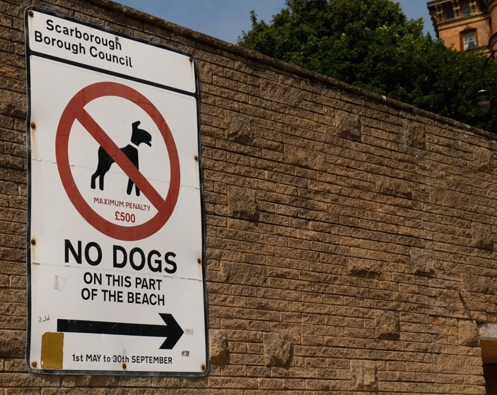 Sign: no dogs on this beach