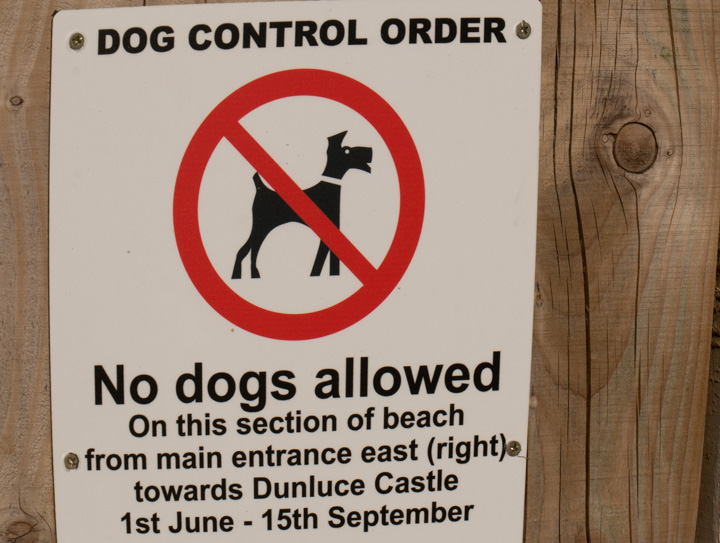 Hundeverbot am Strand, Irland