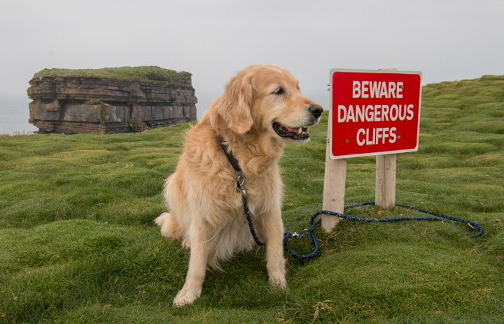 Beware of Cliffs
