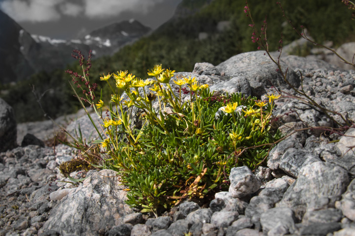 , Norwegen