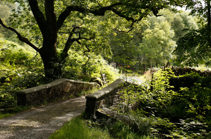 Steinbrücke - Loch Trool