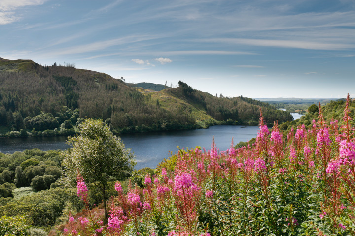 Loch trrool