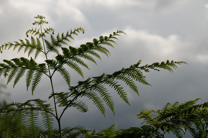Wolken &uuml;ber Loch trool